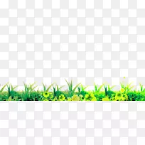 ������Ҷ�ݹȸ�ͼƬ-��-������