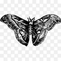 ¶�ȷɶ�������������-����-������