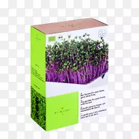 ��Ʊ��Vivaness΢����ɫ�л�ʳƷ����ʳƷ-��ɫʳƷ-������