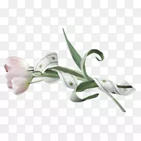 Lofter����-����-������