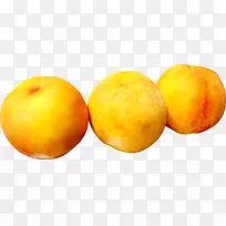 �һ�������-����-������