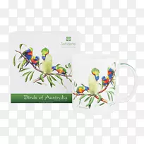 �񱭣��ʺ磬�����ɳ�������͵���-������