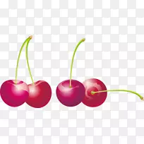 樱桃-樱桃载体材料PNG-空若网 樱桃-樱桃载体材料PNG-空若网