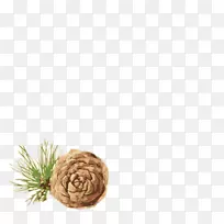 精油、雪松油、芳香疗法盎司-油-空若网 精油、雪松油、芳香疗法盎司-油-空若网