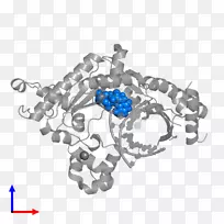 �����鱦����-�鱦-������