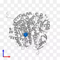 ��-��-������