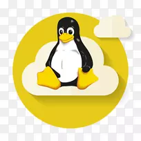 GNU/linux命名争议用户linux发行版-linux-空若网 GNU/linux命名争议用户linux发行版-linux-空若网