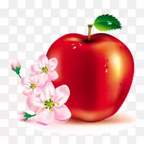 苹果桌面壁纸剪贴画-苹果-空若网 苹果桌面壁纸剪贴画-苹果-空若网