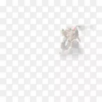 �����ֽ���鱦�����������-������