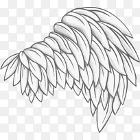 ������Ӱ��ͼ.���-������