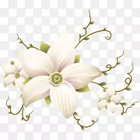 花卉设计切花花瓣设计-空若网 花卉设计切花花瓣设计-空若网