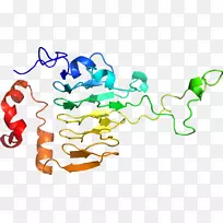 生物线动物剪贴画线-空若网 生物线动物剪贴画线-空若网