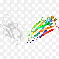 �ߵ������-��-������