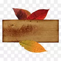 ���Ͷ����֯-����Ҷ-������