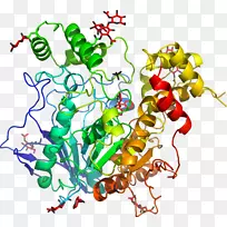 艺术树线夹艺术树-空若网 艺术树线夹艺术树-空若网