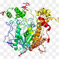 �������߼�������-������