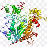 ���߼�����-��-������