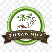 甘草叶级根树-甘草根-空若网 甘草叶级根树-甘草根-空若网