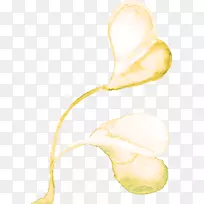 Adobe�廭ֲ��-������