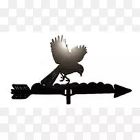 喙鸟-空若网 喙鸟-空若网