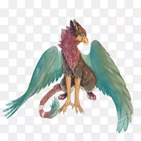 喙鹦鹉动物群-空若网 喙鹦鹉动物群-空若网