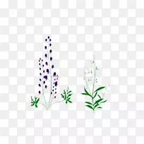薰衣草植物茎叶字体叶-空若网 薰衣草植物茎叶字体叶-空若网