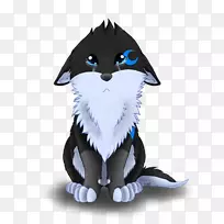 胡须,猫,狗,犬科,鼻子,猫-空若网 胡须,猫,狗,犬科,鼻子,猫-空若网