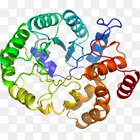 人体首饰有机体线剪贴画线-空若网 人体首饰有机体线剪贴画线-空若网