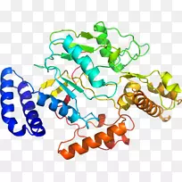 生物线动物剪贴画线-空若网 生物线动物剪贴画线-空若网