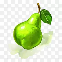 Ë®²Ê»°Â¸ñÀï˹ÓÍ»²åͼ-ÂÌÒ¶ÓëÑÇÑ©ÀæÆá-¿ÕÈôÍø Ë®²Ê»°Â¸ñÀï˹ÓÍ»²åͼ-ÂÌÒ¶ÓëÑÇÑ©ÀæÆá-¿ÕÈôÍø