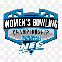 商标-不伦瑞克保龄球-空若网 商标-不伦瑞克保龄球-空若网