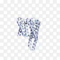 人体珠宝.智人-空若网 人体珠宝.智人-空若网