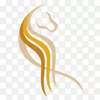 澳大利亚种马皇家堪培拉展示纯种西澳大利亚-空若网 澳大利亚种马皇家堪培拉展示纯种西澳大利亚-空若网