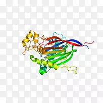 艺术身体珠宝线有机体剪贴画线-空若网 艺术身体珠宝线有机体剪贴画线-空若网