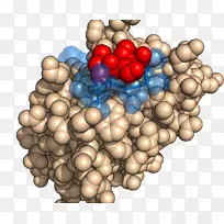 水果-空若网 水果-空若网