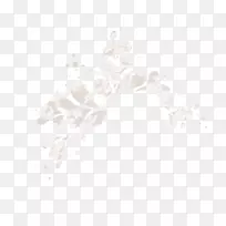 白色桌面壁纸电脑字体电脑-空若网 白色桌面壁纸电脑字体电脑-空若网