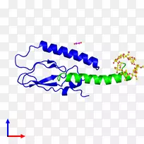 �����������������-������