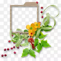 ������Ʋ���LiveInternet-���-������