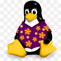 linux操作系统计算机软件计算机程序安装-罗哈衬衫-空若网 linux操作系统计算机软件计算机程序安装-罗哈衬衫-空若网