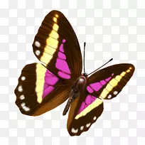 �������˲��Ͳ�ɫ������Ӱ-����-������