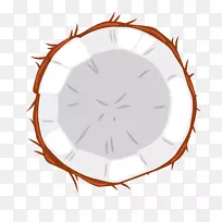 果椰子-空若网 果椰子-空若网