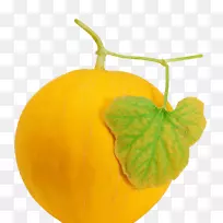 哈密瓜蜜瓜甜瓜-空若网 哈密瓜蜜瓜甜瓜-空若网