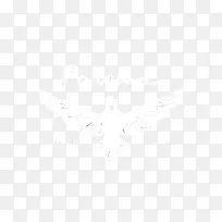 白色桌面壁纸电脑图案-电脑-空若网 白色桌面壁纸电脑图案-电脑-空若网