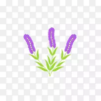 花卉名称植物茎开花植物-花-空若网 花卉名称植物茎开花植物-花-空若网