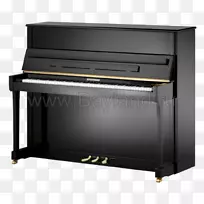 ��ʽ����c����˹̹����ٸ������ﰲ-ʩ̩��Τ��-����-������