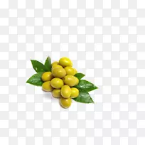 比萨饼奶油,萨拉米,橄榄-空若网 比萨饼奶油,萨拉米,橄榄-空若网