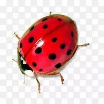 ����ư�������.ư��-������