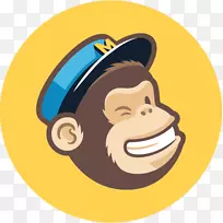 电子邮件营销通讯-电子邮件-空若网 电子邮件营销通讯-电子邮件-空若网