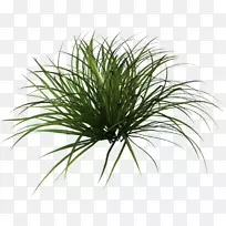 明尼苏达州瓦巴沙县剪贴画绿草-空若网 明尼苏达州瓦巴沙县剪贴画绿草-空若网