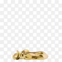 ����01504��������.�ƽ�-������